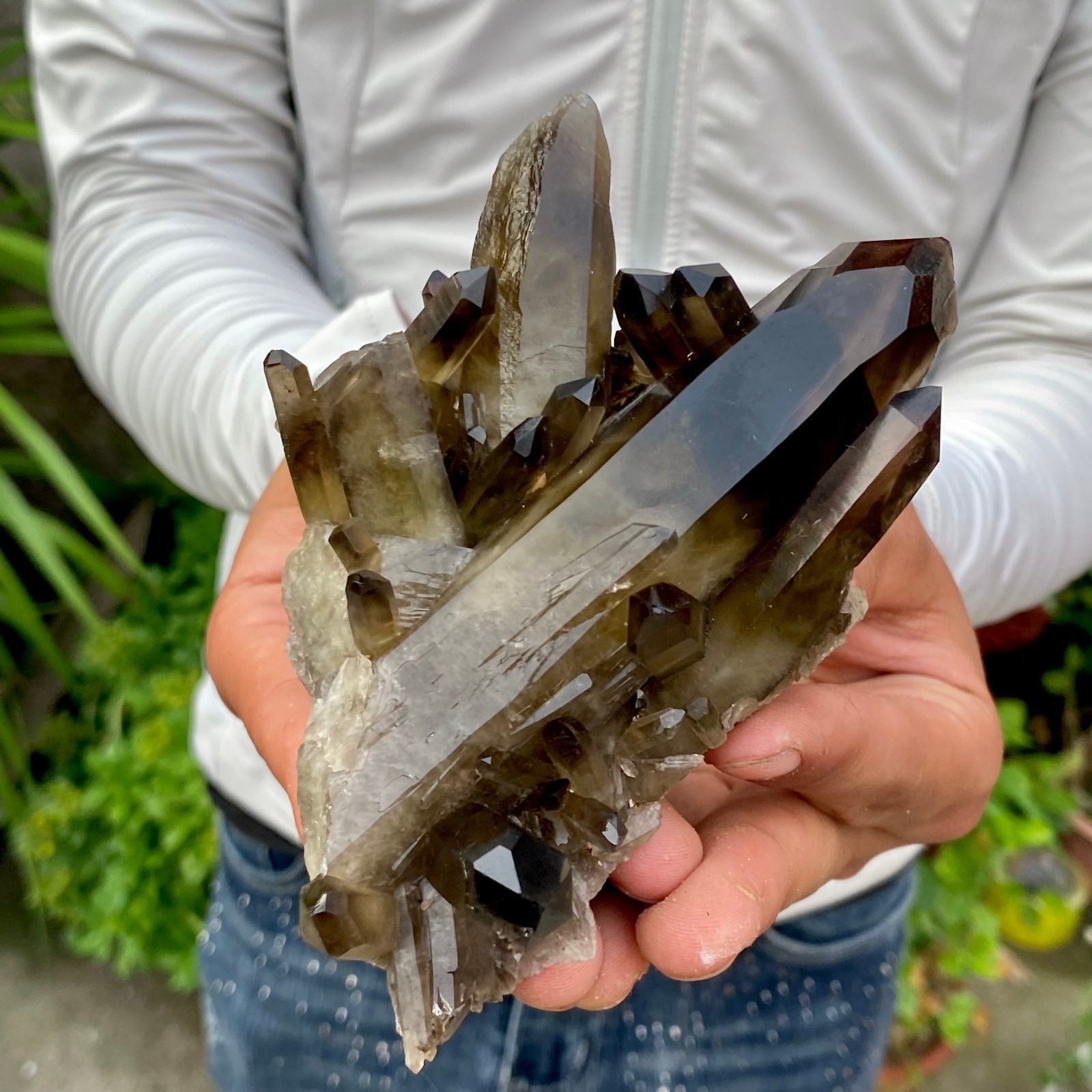 420G Natural Smoky Black Quartz Cluster Crystal raw Specimen Healing