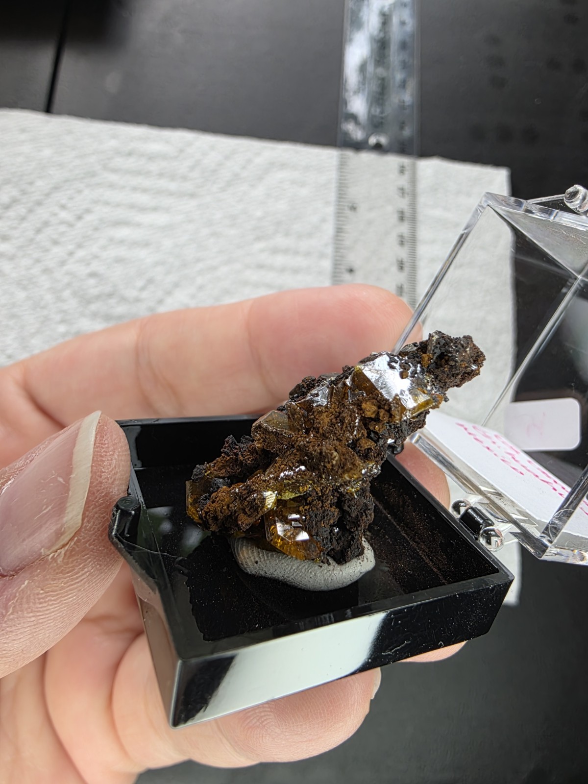Wulfenite Perky #4, Los Lamentos Chihuahua, Mexico 23g