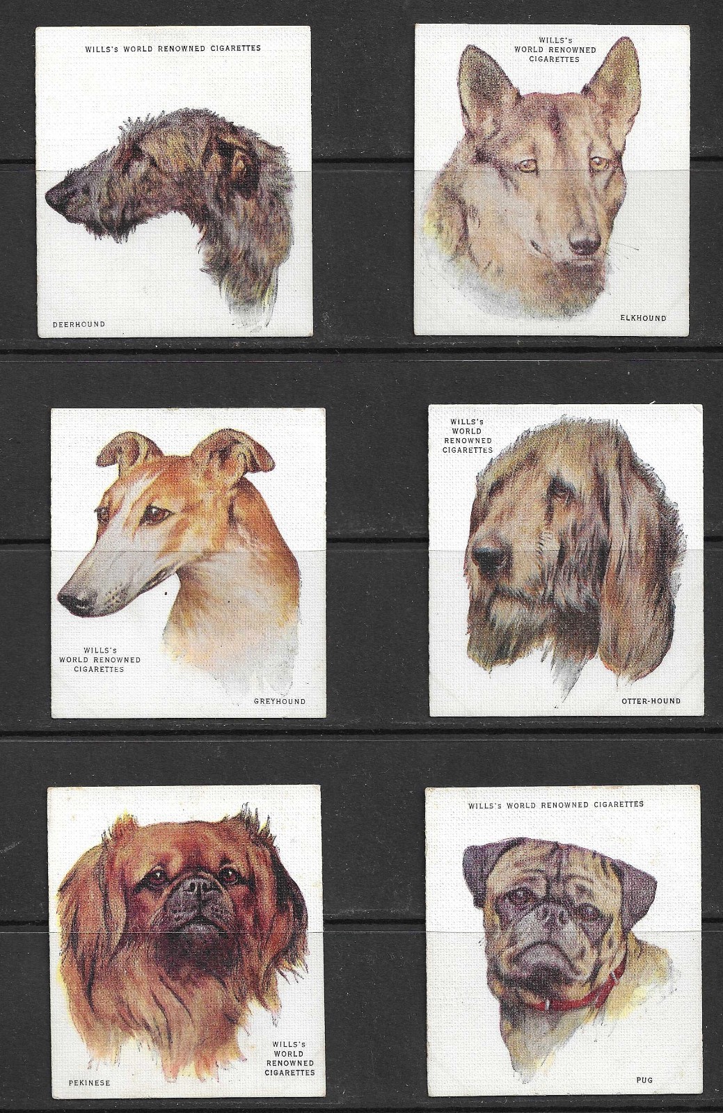 Wills 1915 DOGS 2nd series set cigarette cards