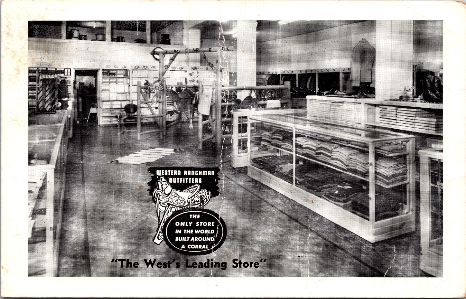 Postcard Interior of Western Ranchman Outfitters in Cheyenne, Wyoming