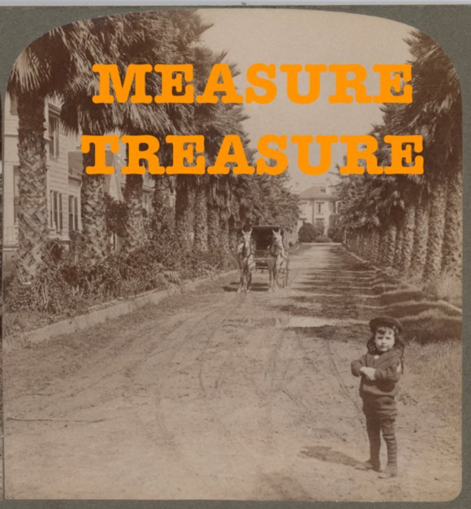 1899 LOS ANGELES, CA AVENUE OF PALMS CUTE BOY CARRIAGE HORSES STEREOVIEW F54 1899 LOS ANGELES, CA AVENUE OF PALMS CUTE BOY CARRIAGE HORSES STEREOVIEW F54