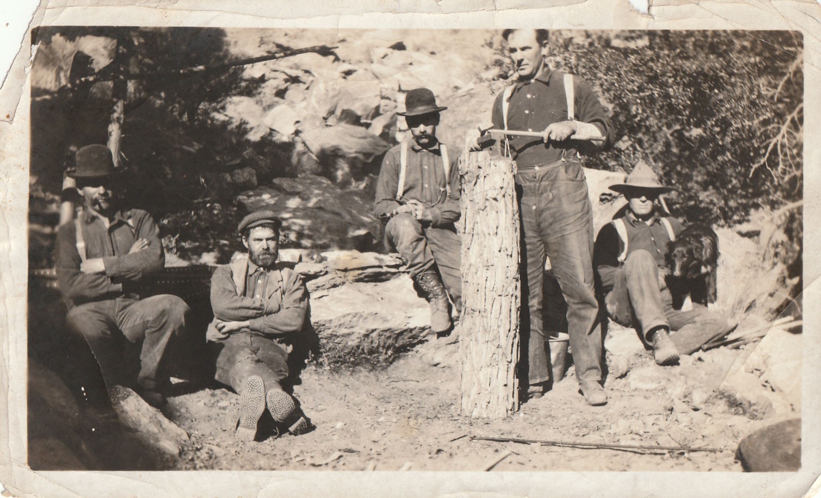Antique Photo Cottonwood Creek Miners California History Dog Fashion Labor USA