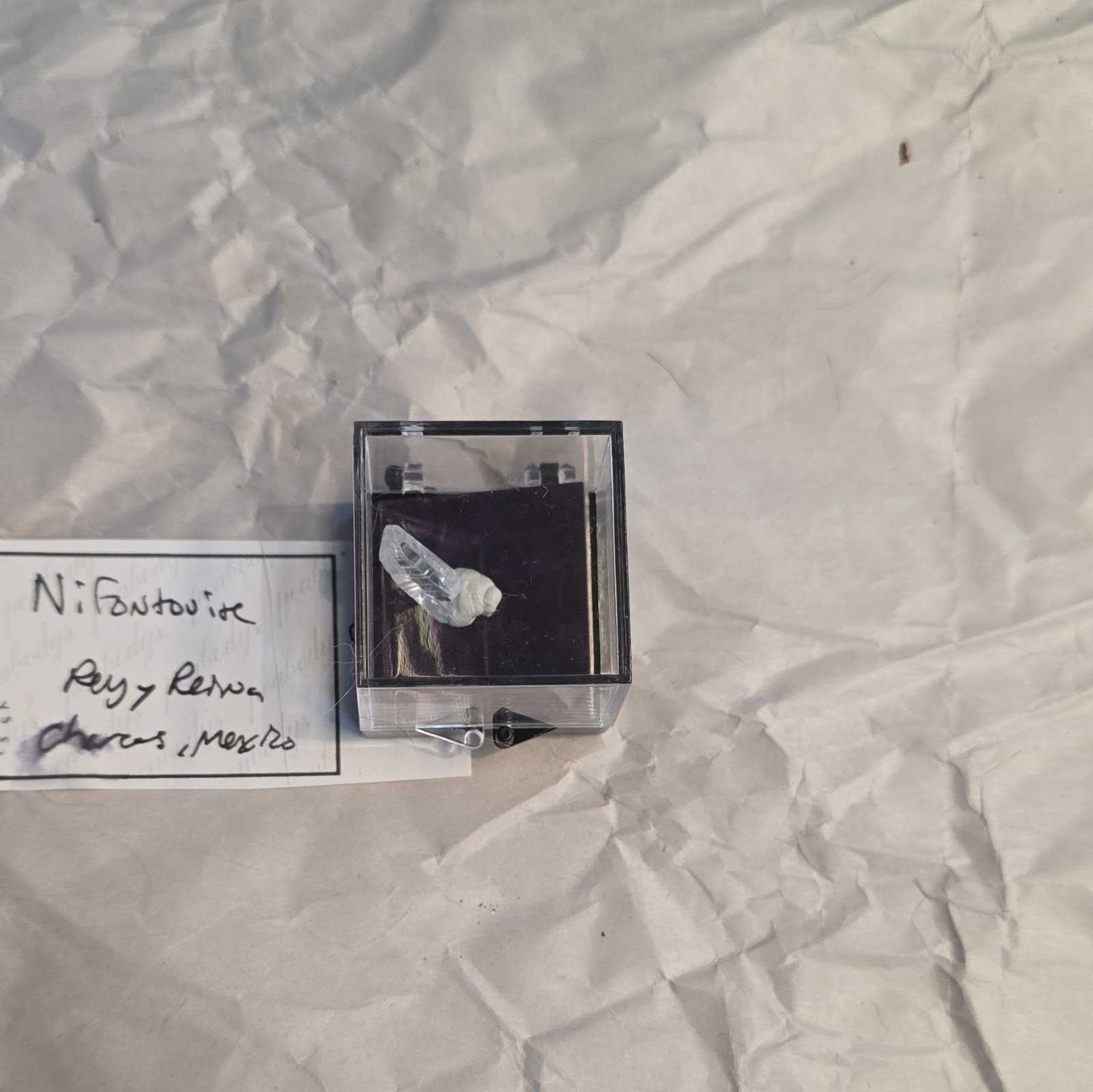 Nifontovite Crystal on Matrix Mineral Display Specimen in Perky Box, Mexico