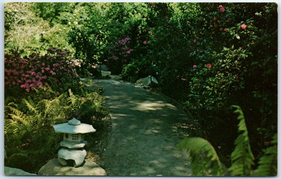 Postcard - Descanso Gardens, La Canada, California, USA P-102960