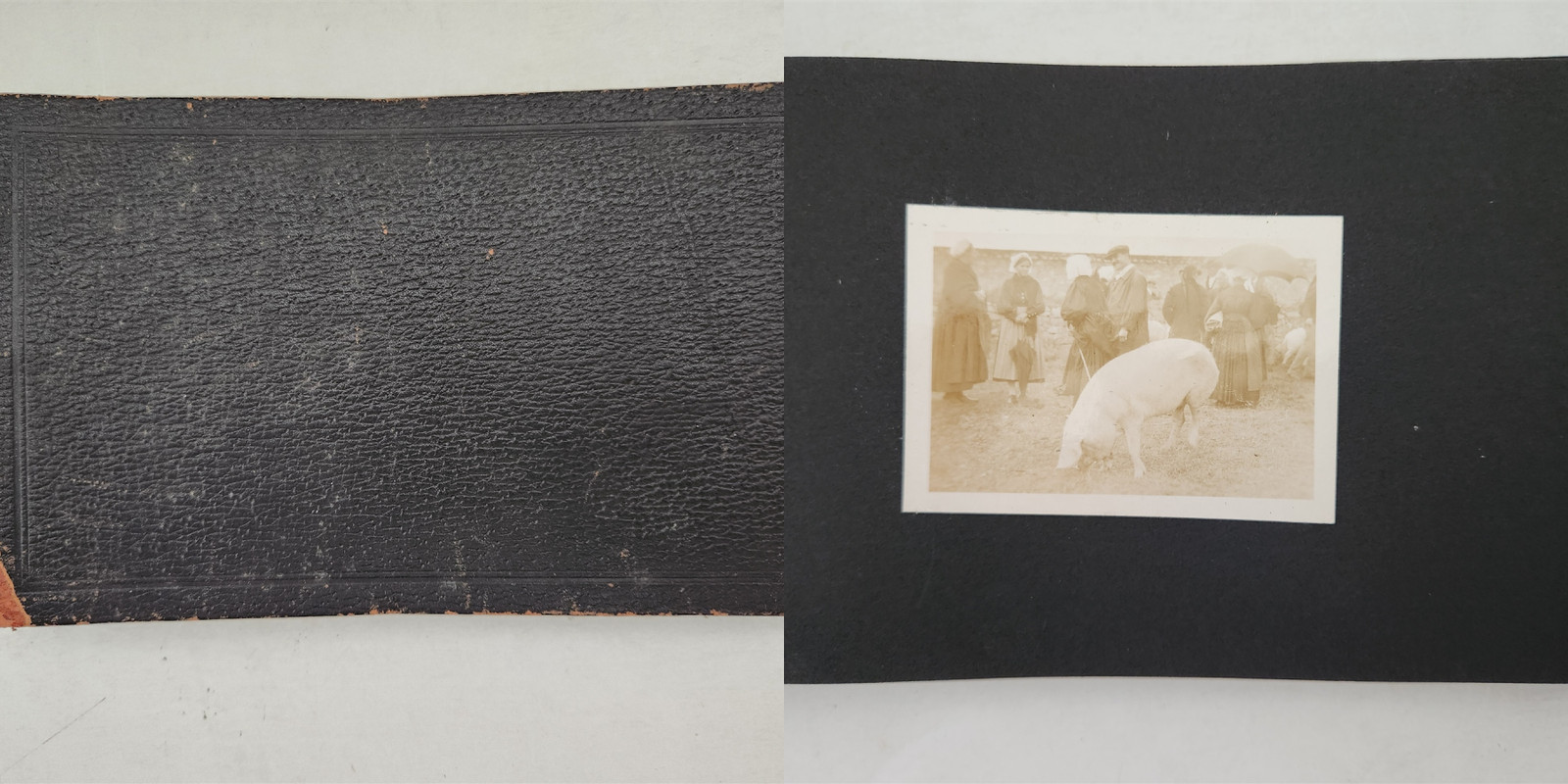 1920s antique TRAVEL PHOTO ALBUM Mt ST MICHEL france BRETON COSTUMES VANNES fair
