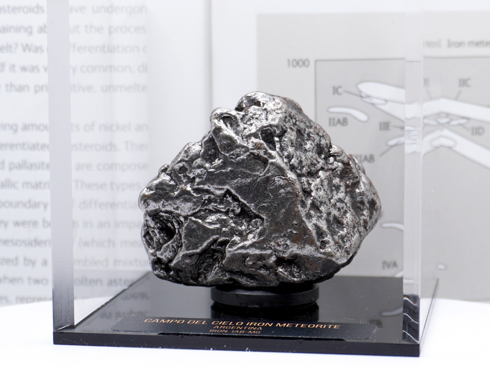 Campo del Cielo Meteorite: Authentic Space Rock with Display Box & COA