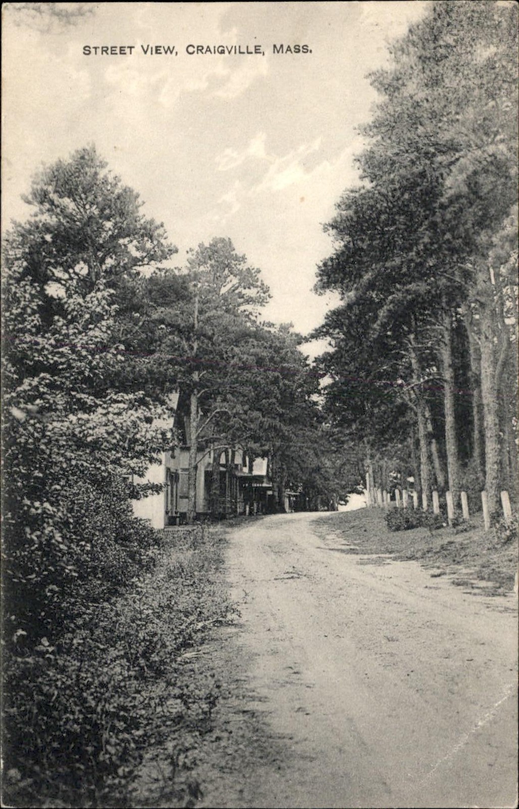 Craigville MA Street View S. H. Hallett c1900s-10s Vintage Postcard