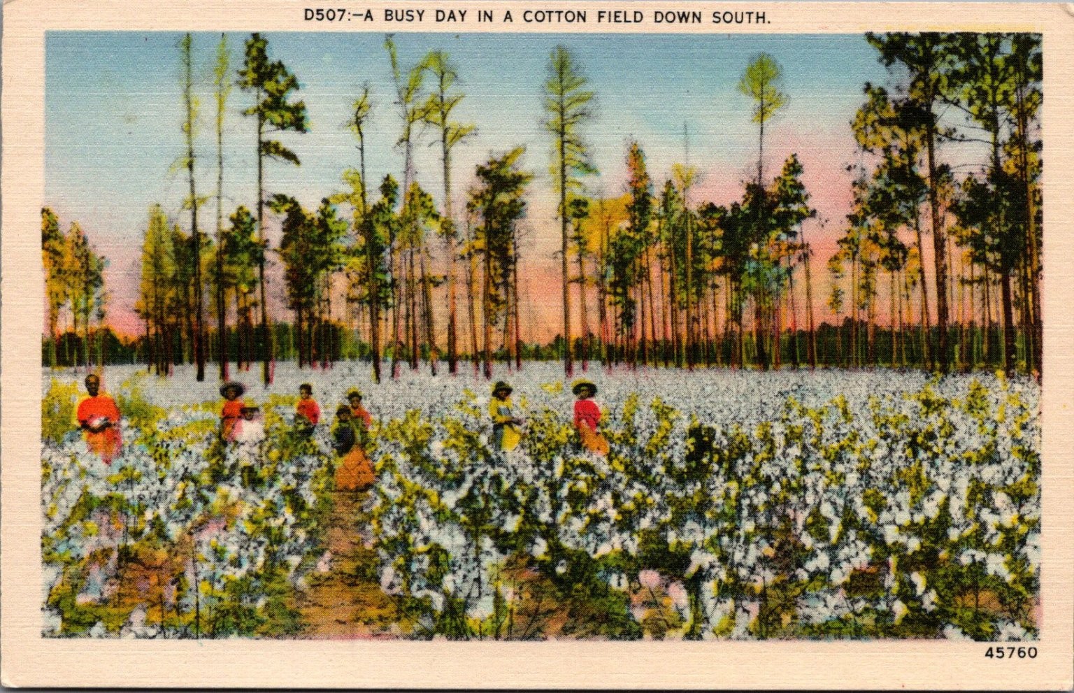 Vintage Linen Postcard Cotton Field Down South Asheville NC Pickers Vintage Linen Postcard Cotton Field Down South Asheville NC Pickers