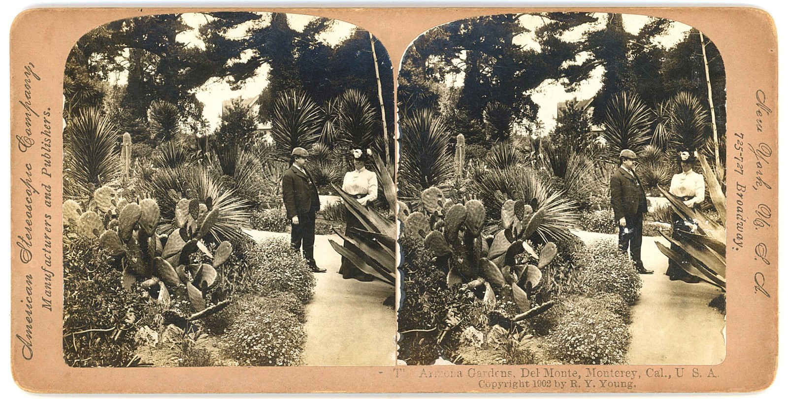 CALIFORNIA STEREOVIEW - Monterey - Del Monte Hotel Gardens - RY Young c1902