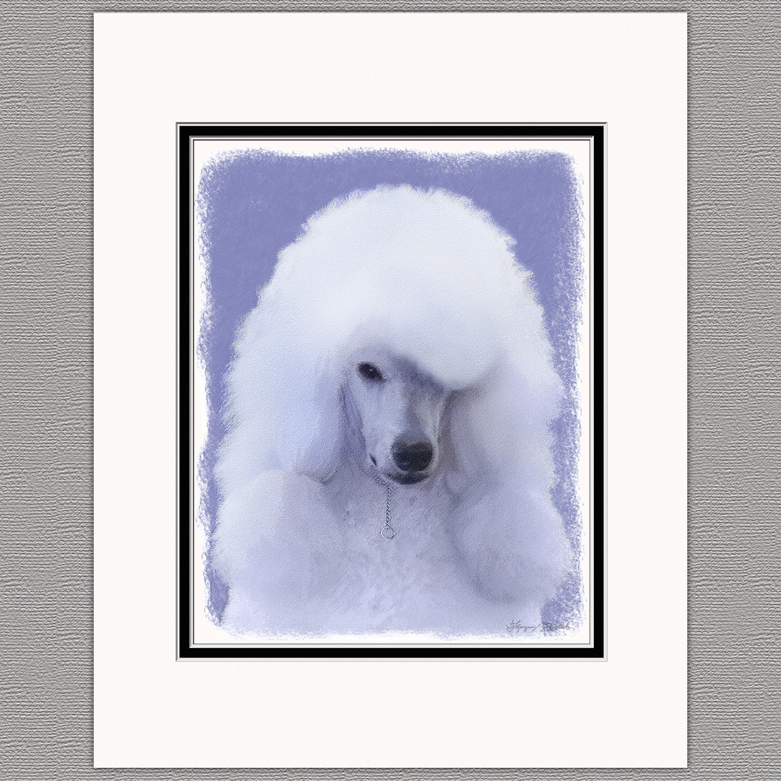 Standard Poodle Dog White Original Art Print 8x10 Matted to 11x14