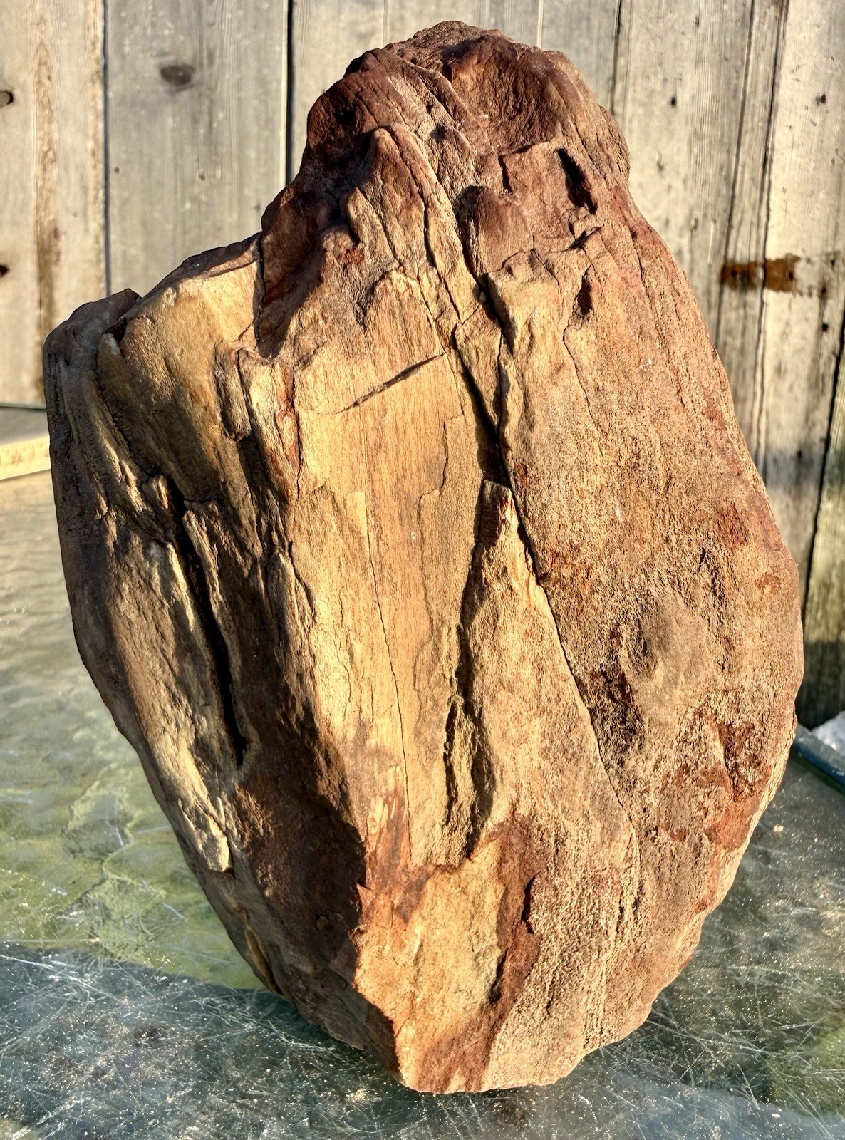 BEAUTIFUL* 4# Petrified Wood Visible Cell Structure & Pretty Wood Grain Pattern