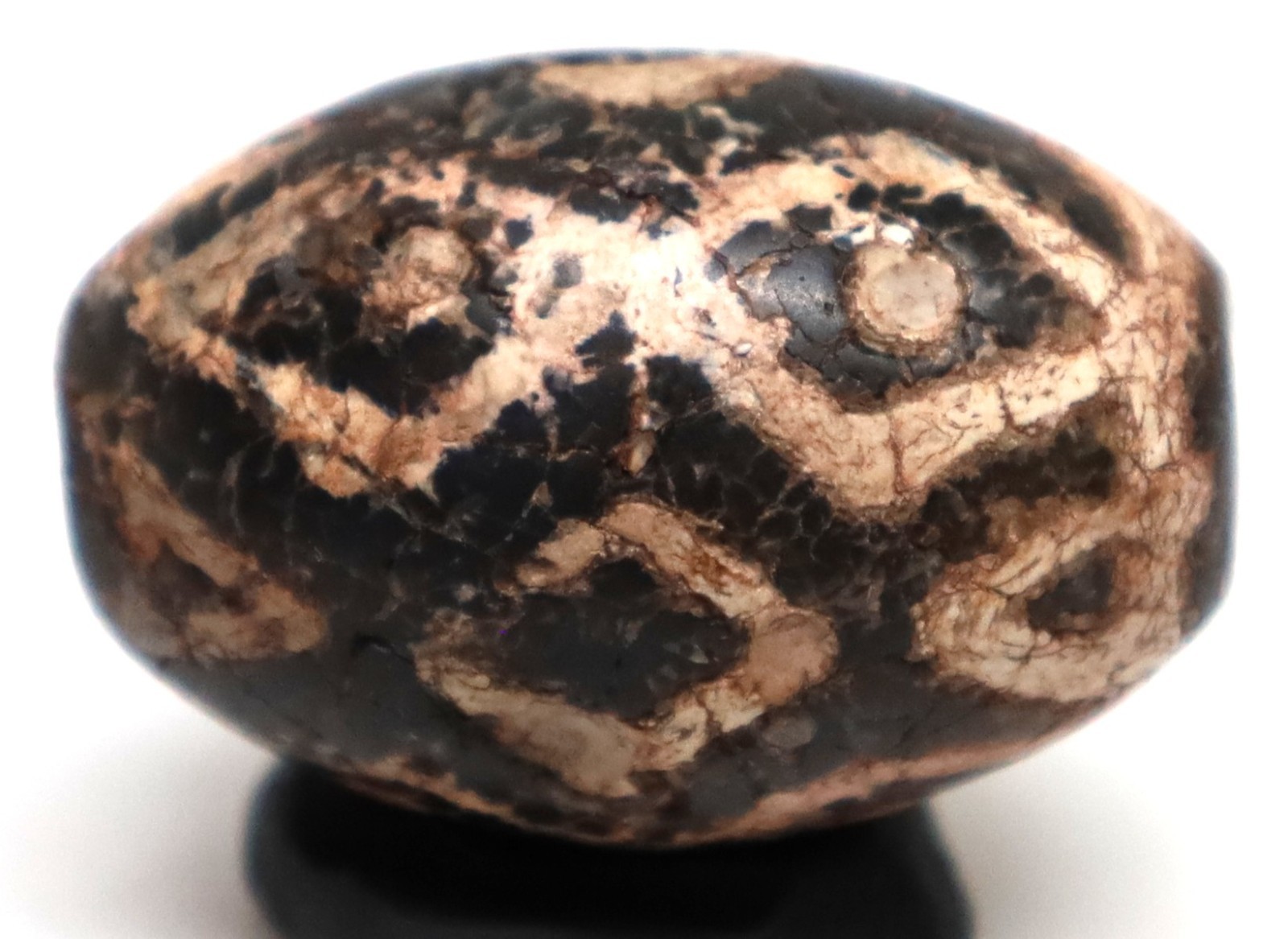Himalaya Indo Tibetan Phum Dzi Eyes Tian Zhu Agate Spiritual Antique Amulet Bead