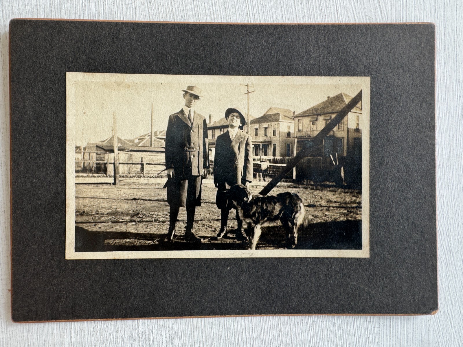 1900\'s Cabinet Photograph of Couple With Their Dog 1900\'s Cabinet Photograph of Couple With Their Dog