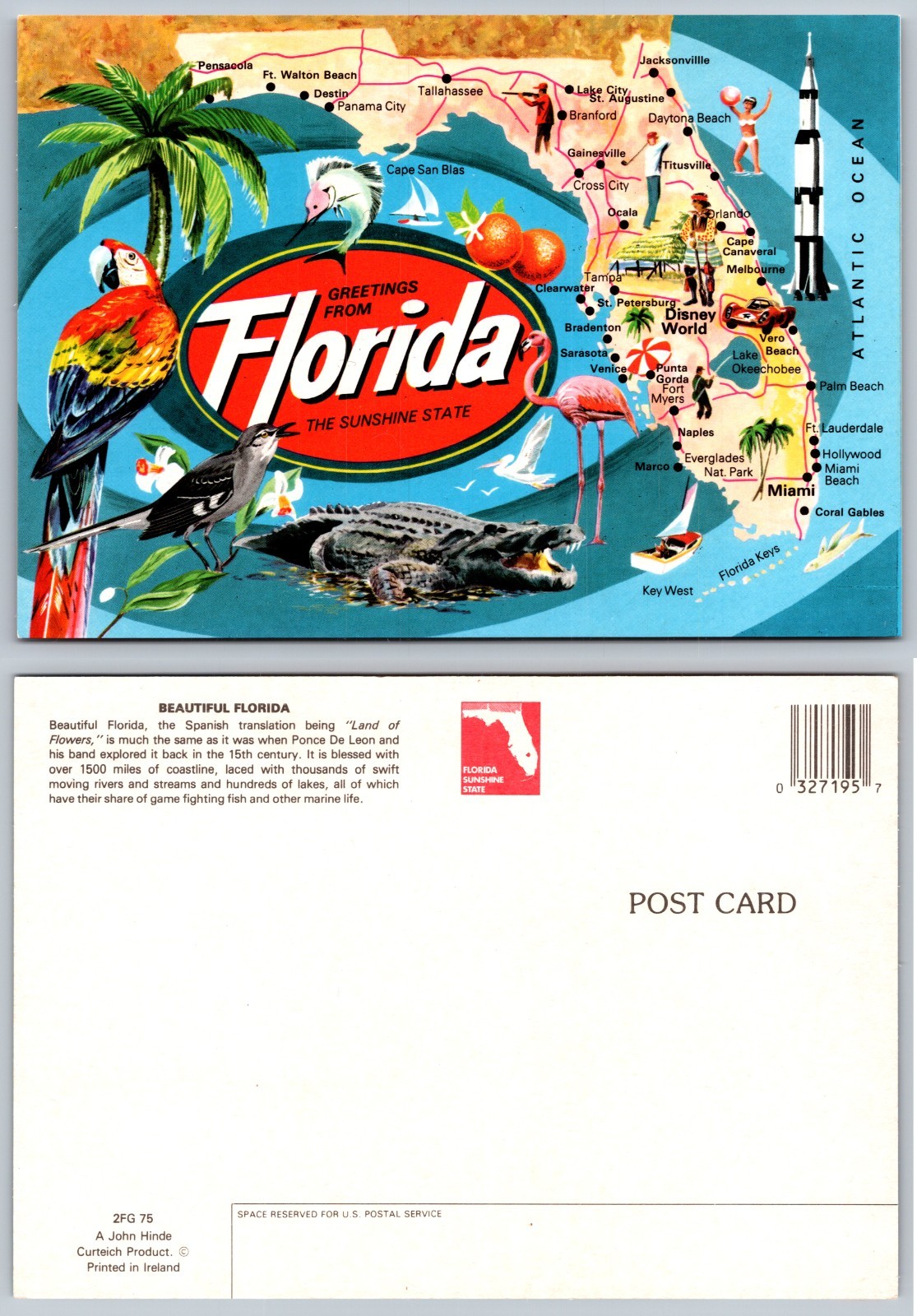 Continental Florida Sunshine State Map Postcard