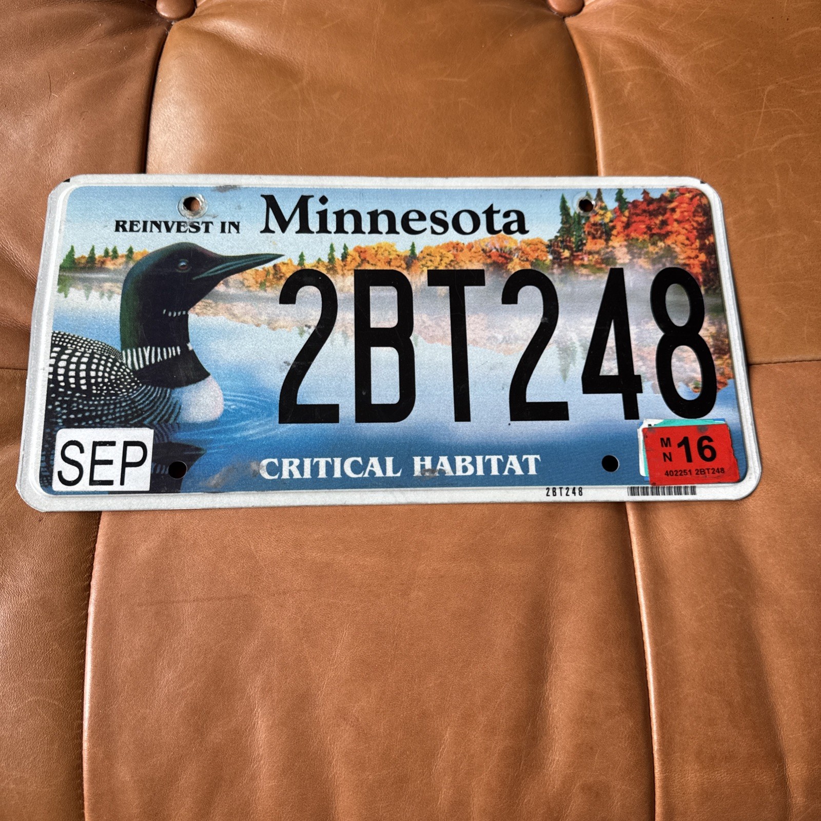 2016 Minnesota license plate Critical Habitat Loon 🦆 Tag 2NT 248 2016 Minnesota license plate Critical Habitat Loon 🦆 Tag 2NT 248