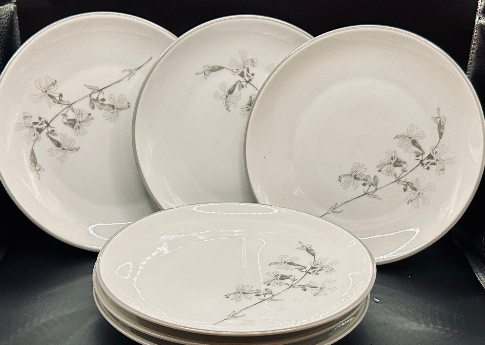 Old Brunswick Wild Flower Firstenburg Germany Salad Plates #1747 (6) 8-3/4\
