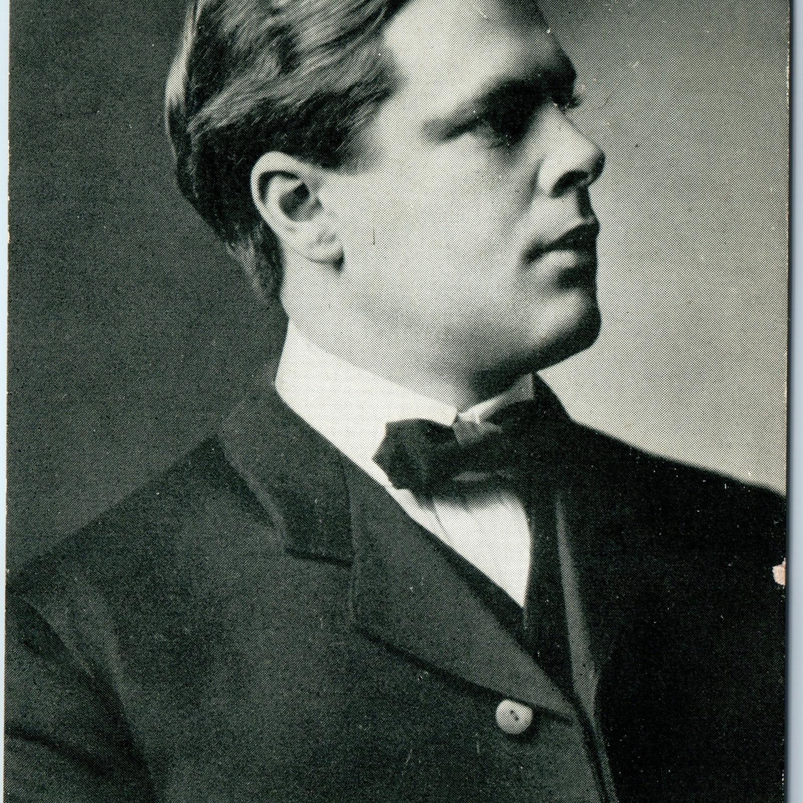 c1900s Carthage, IL James F Gibson State Senate Campaign Political Postcard Ad c1900s Carthage, IL James F Gibson State Senate Campaign Political Postcard Ad