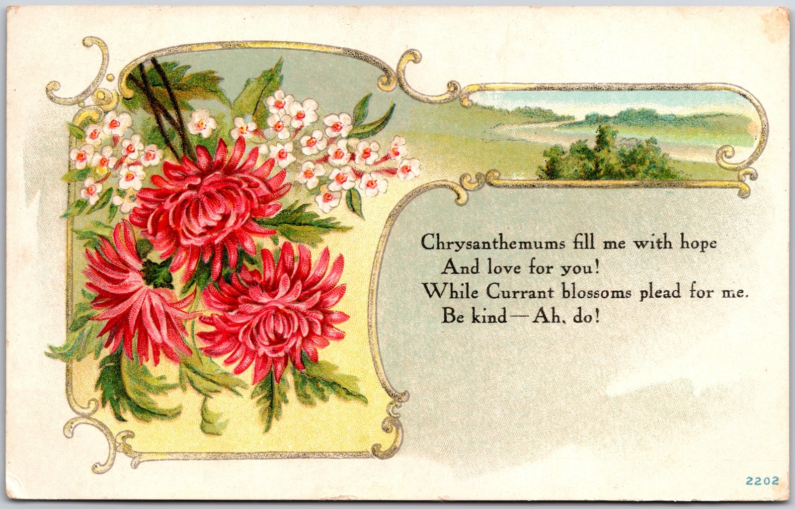 1911 Chrysanthemum Currant Blossomss Greetings and Wishes Card Posted Postcard