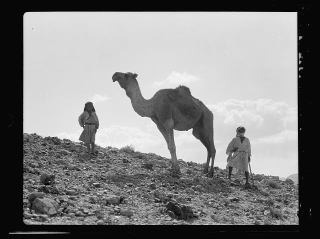 Photo:Camel 1934 Oct Bedouin Desert Scene with Child