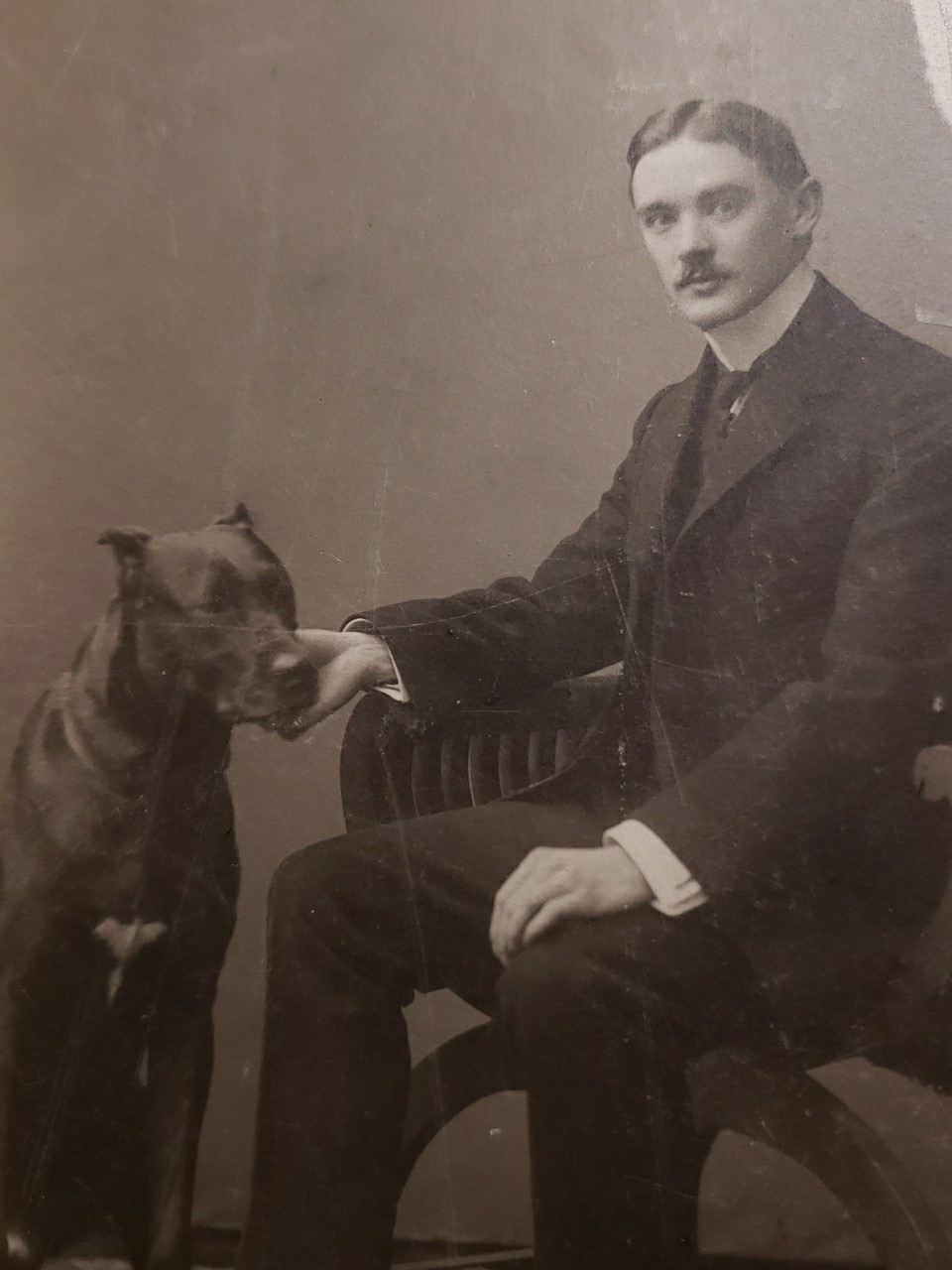 Antique Pre-WWI Imperial Russian Cyrillic Cabinet Card Back Litho Great Dane Dog