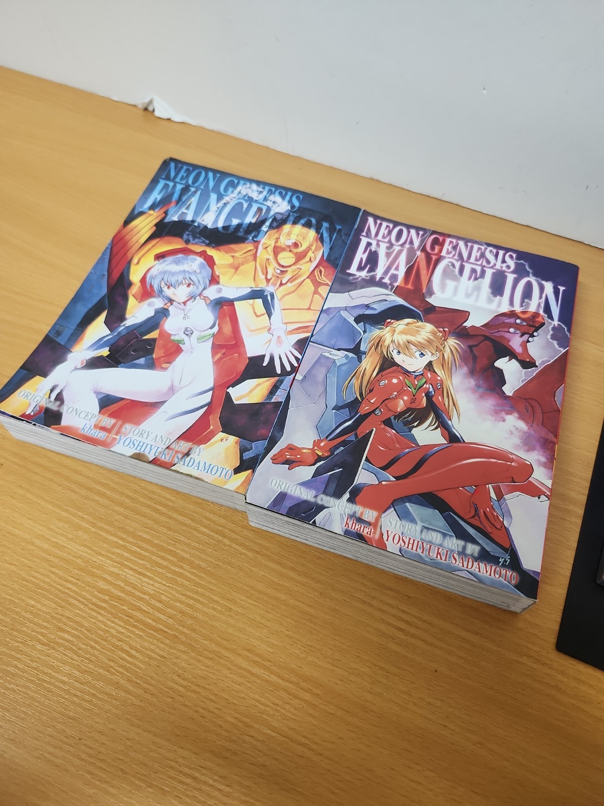 Volume 2 & 3 Neon Genesis Evangelion Book