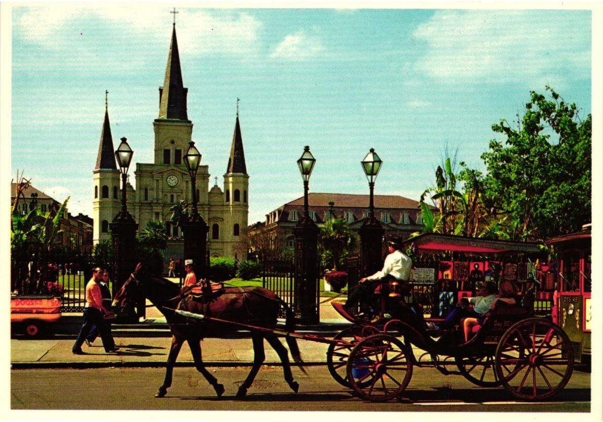 Jackson Square New Orleans LA Postcard French Quarter St. Louis Cathedral Horse Jackson Square New Orleans LA Postcard French Quarter St. Louis Cathedral Horse