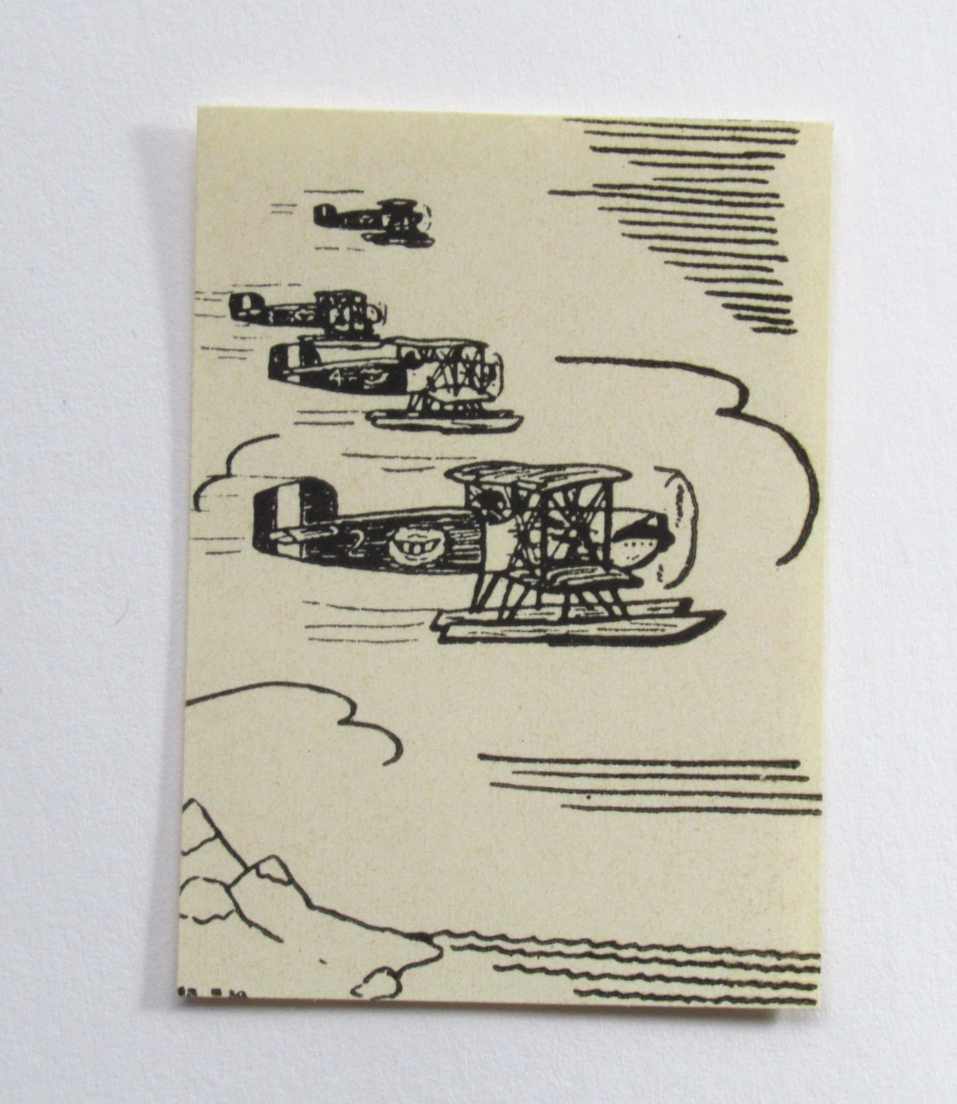 Vintage Original Aviation Luggage Label Seaplane Formation OG