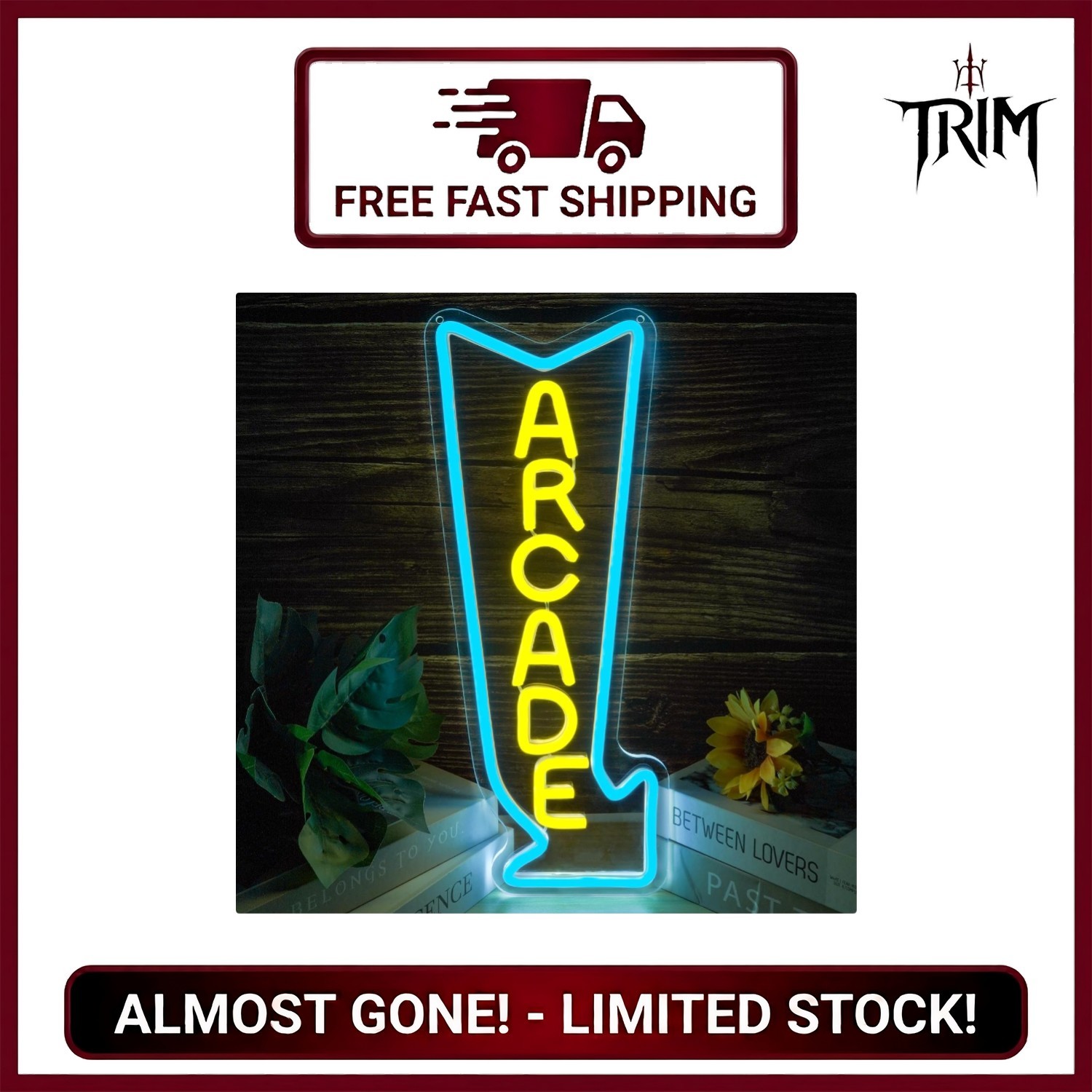 Neon Sign LED Light Dimmable Gaming Wall Decor USB Powered 16.5in