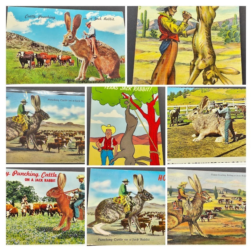 8 Vintage Exaggerated Giant Jack Rabbit Humor Comic Cowboy Western Postcards