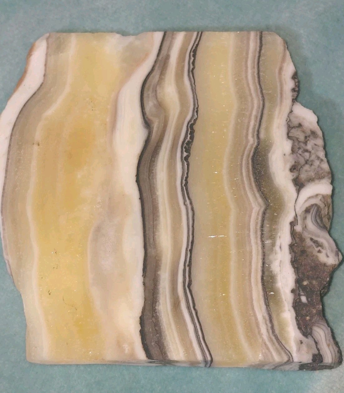 Zebra Calcite Crystal Translucent Banded Window Display Reiki Slabbed + Rough
