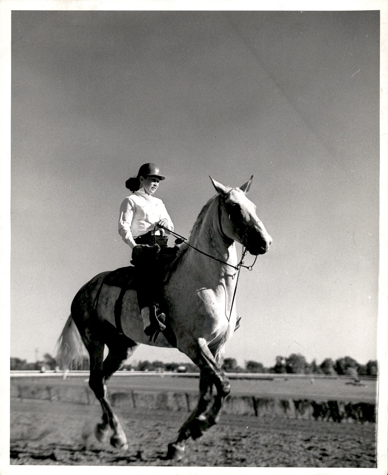GA251 Original Photo BEAUTIFUL WOMAN RIDING HORSE EQUESTRIAN CONTEST HORSE SHOW