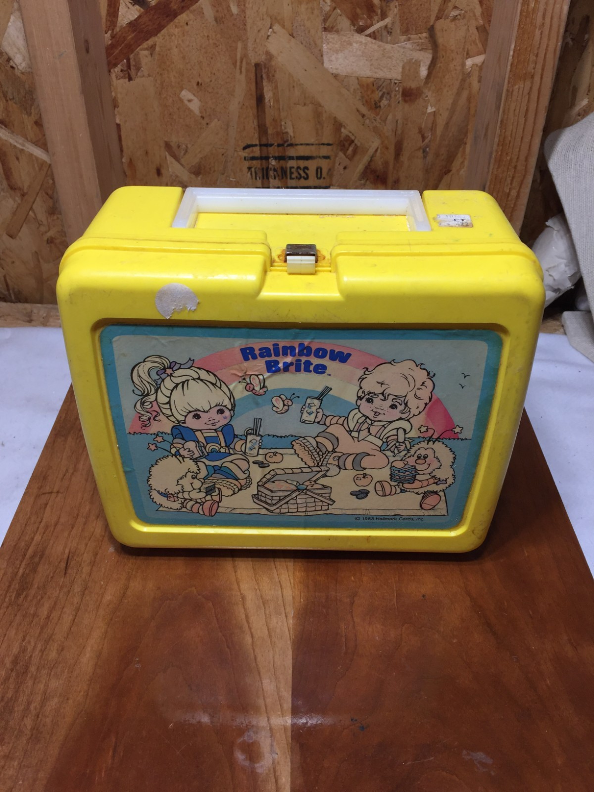 VTG 1983 Rainbow Brite Plastic Lunch Box Made by Thermos and Hallmark Cards