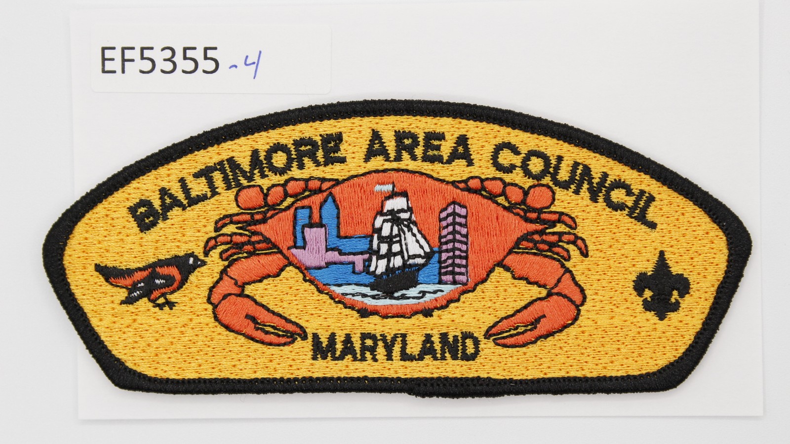Boy Scout CSP Baltimore Area Council