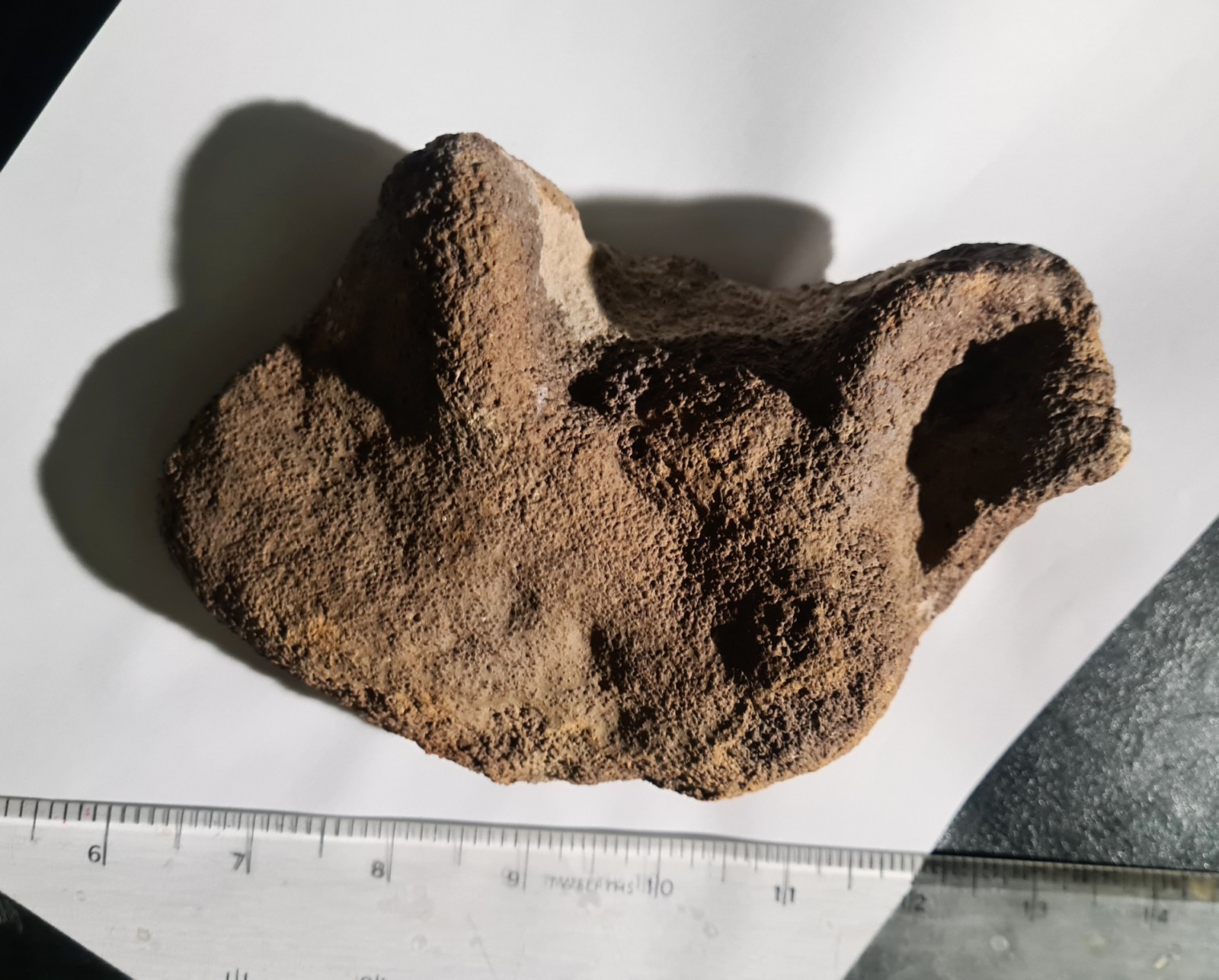 Amazing, Incredibly Rare & Significant UK Pterosaur Hand / Wing cast