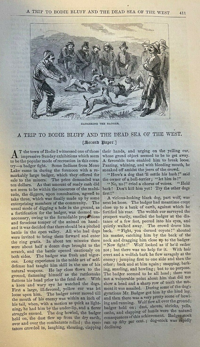 1865 Bodie Bluff Mono Lake Town of Mono illustrated