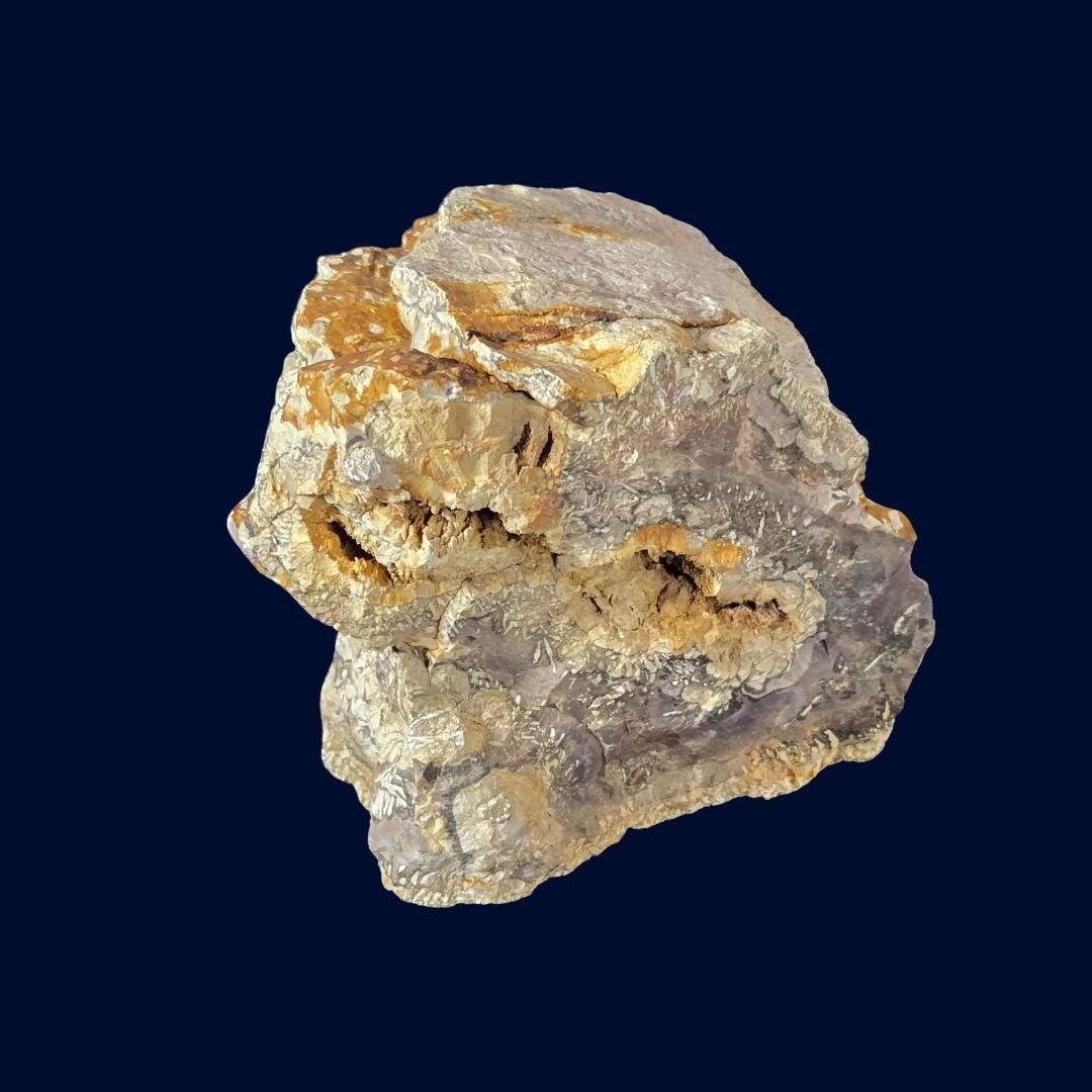 Large Orbicular Jasper | Nevada Statement Specimen