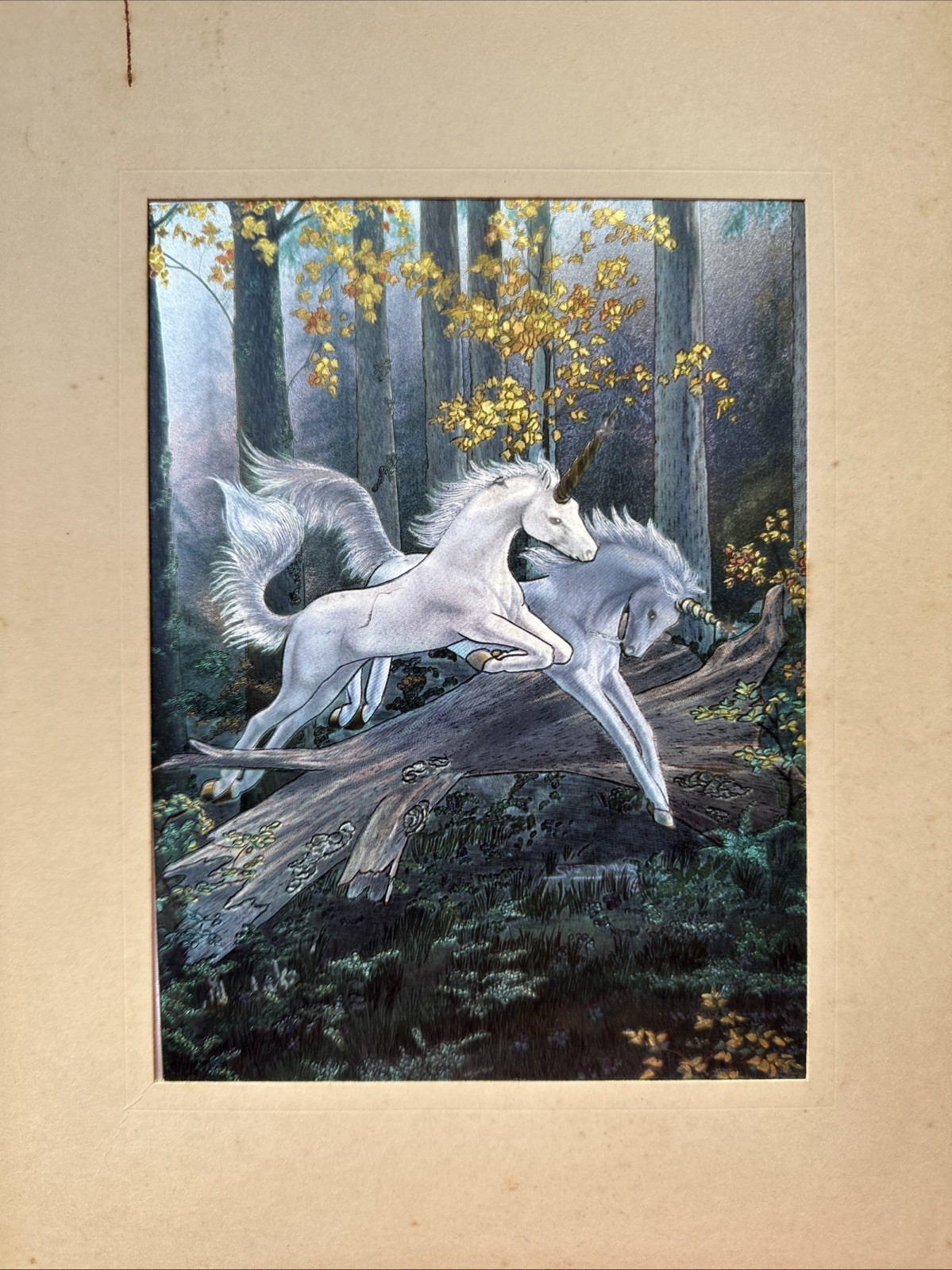 ‘80 Glades by Sue Dawe Fantasy Holographic Poster Wall Decor. See pics.