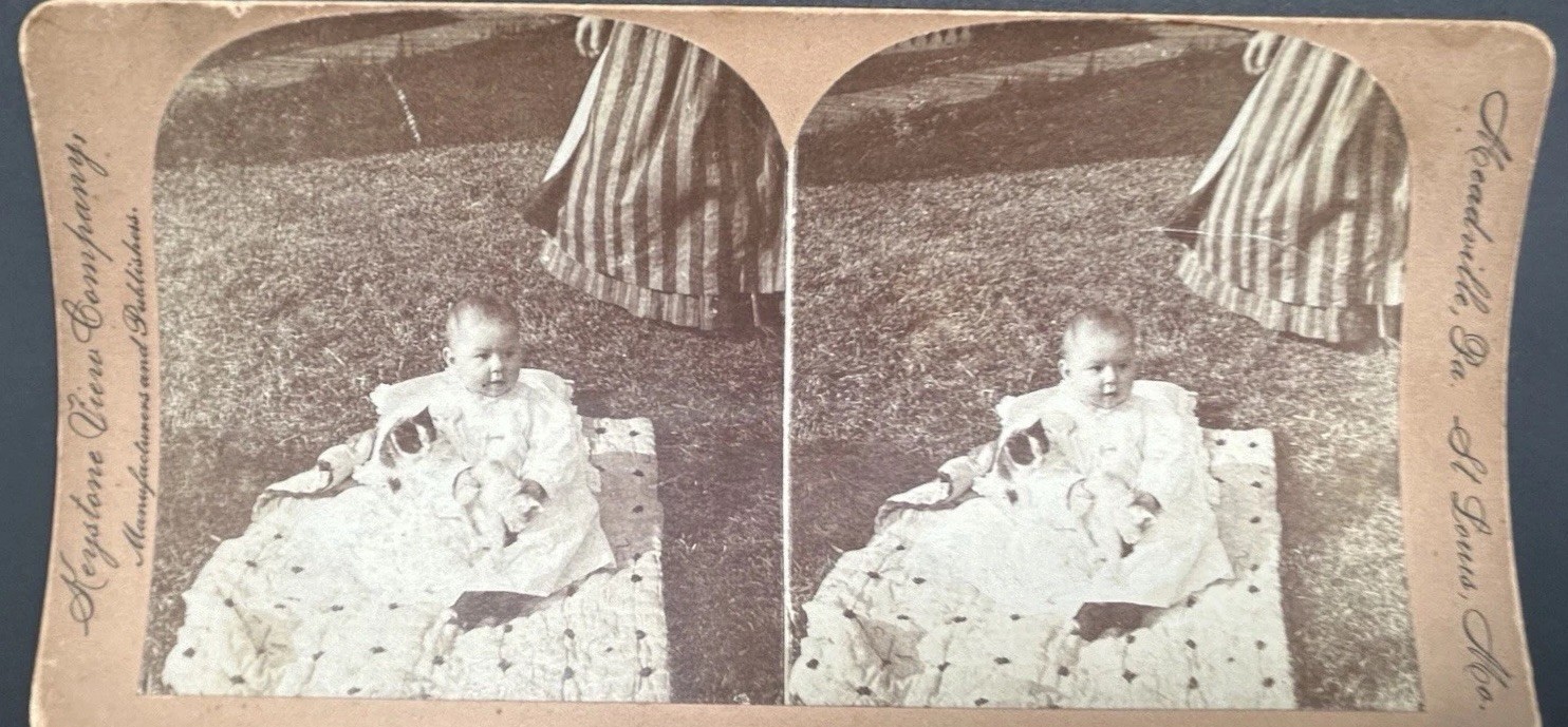 Keystone Stereoview 339 Josephine\'s Kitten Cat Antique Stereo View Card Keystone Stereoview 339 Josephine\'s Kitten Cat Antique Stereo View Card