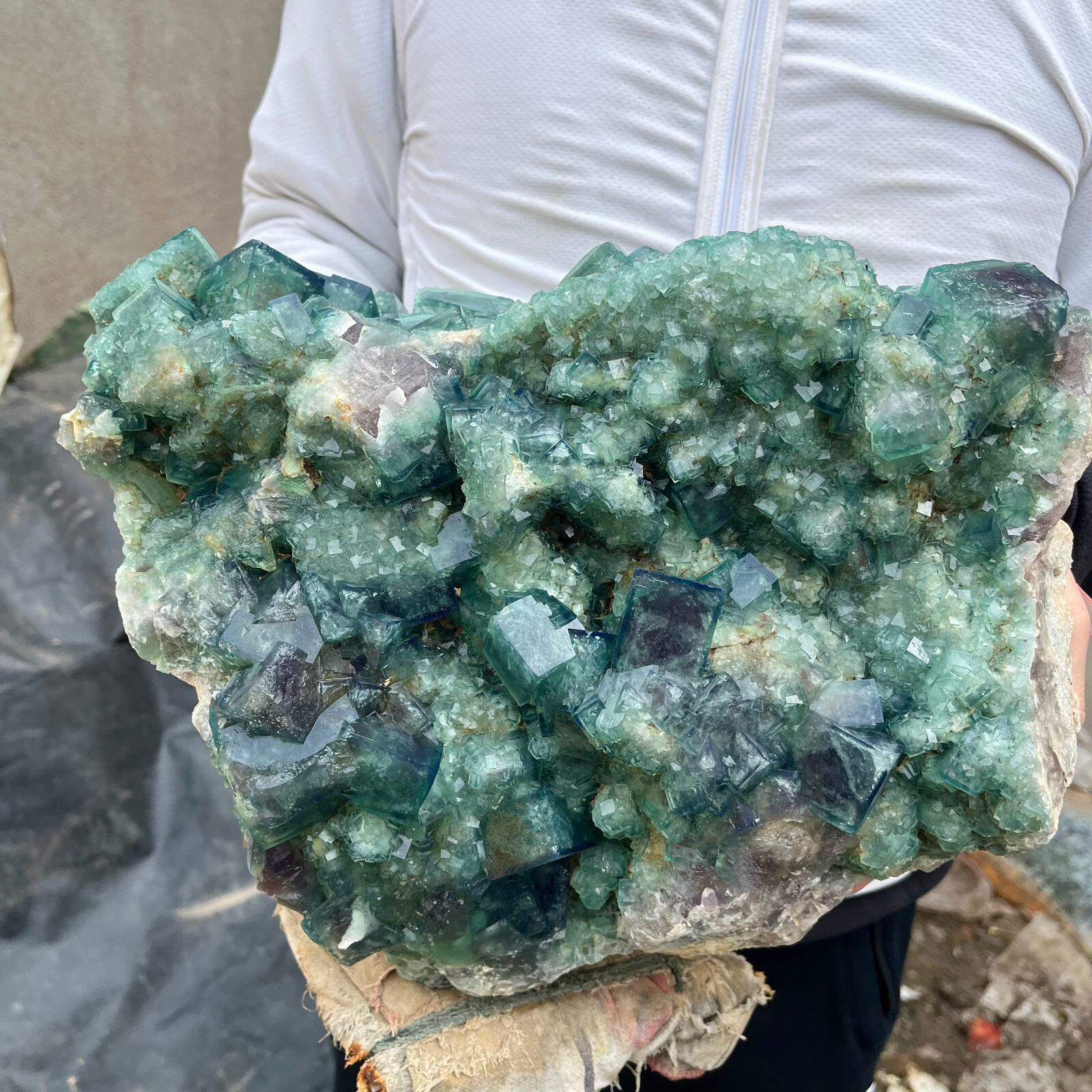 46.7lb NATURAL Green Cube FLUORITE Quartz Crystal Cluster Mineral Specimen