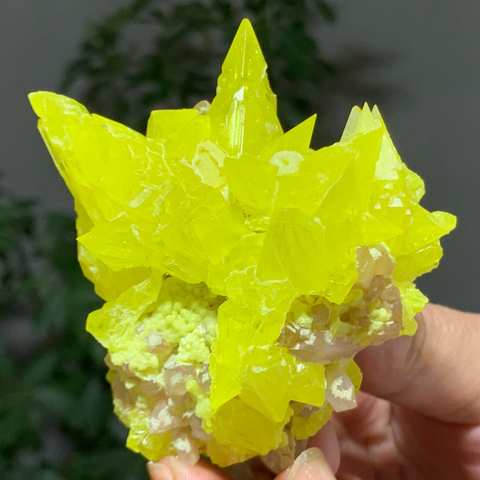110G Beautiful Minerals ** LARGE NATIVE SULPHUR OnMATRIX Sicily- FREE