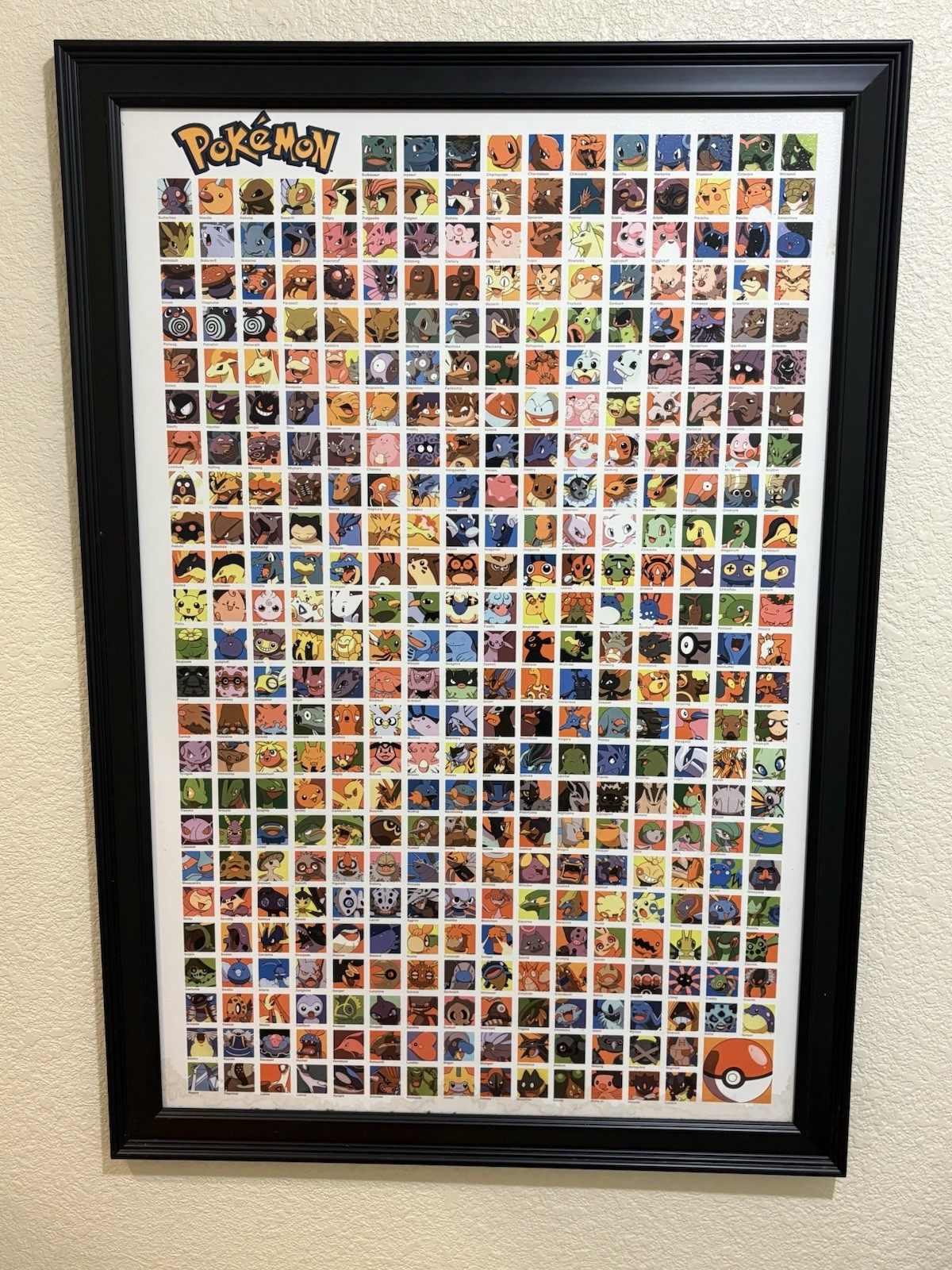 POKEMON OVERSIZED PORTRAIT BLACK FRAME 28x40x0.75”  **LARGE PORTRAIT**