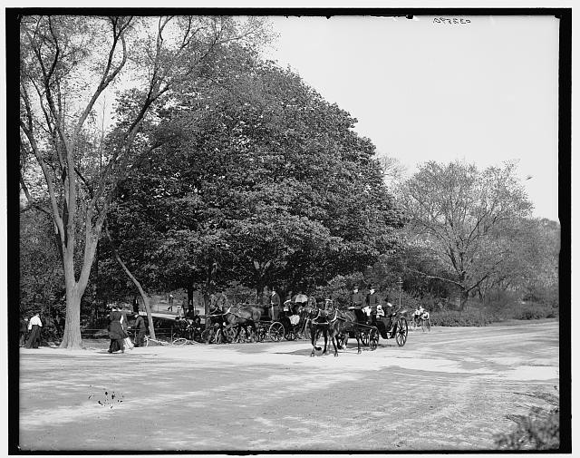Photo:Central Park New York City 1900s Driveway Horse Carriages Trees