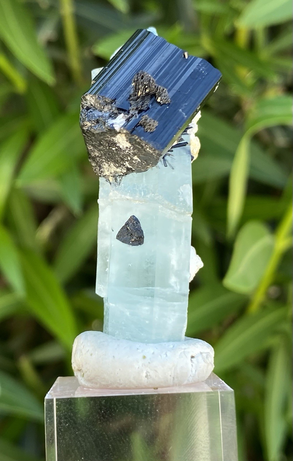 LIMITED AVAILABILITY - 22 Gram Aquamarine & Tourmaline - Shigar Valley, Pakistan