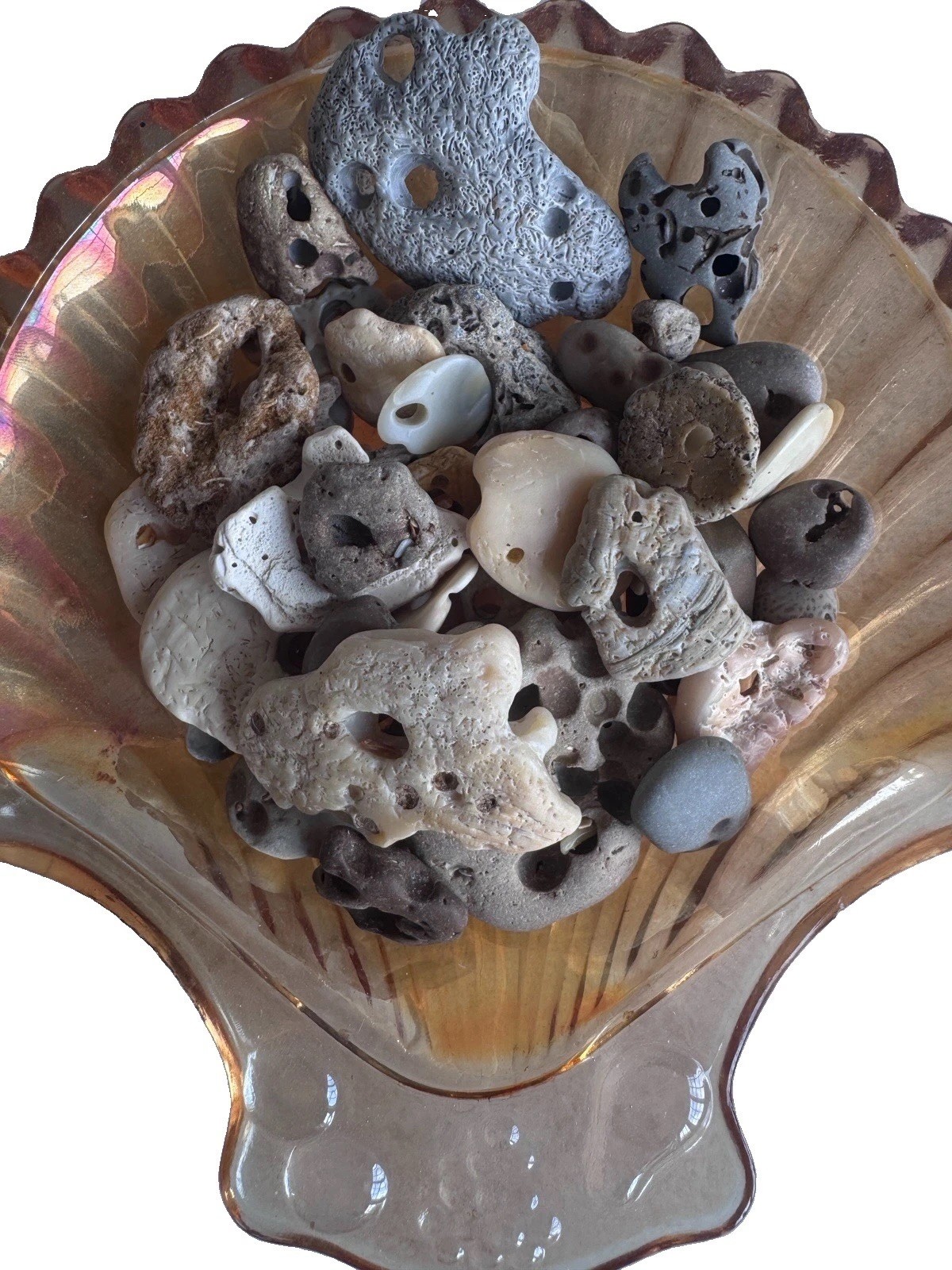 44 Natural Hag Stones| Genuine Holy beach Stones| Craft Lot,Wicca,Pagan C