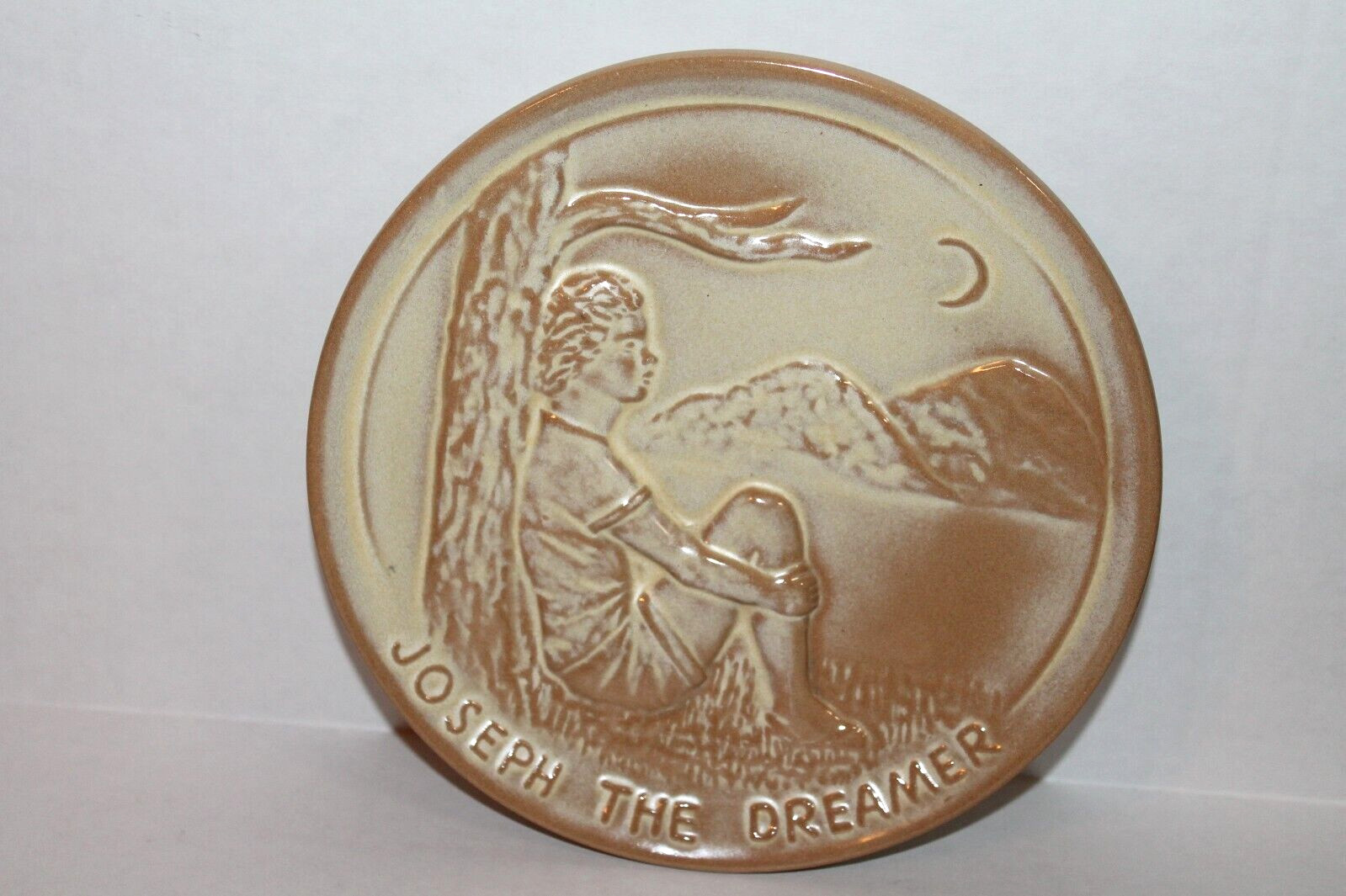 1979 Collectible Frankoma Pottery Teen-Agers of the Bible Daniel Plate 7\