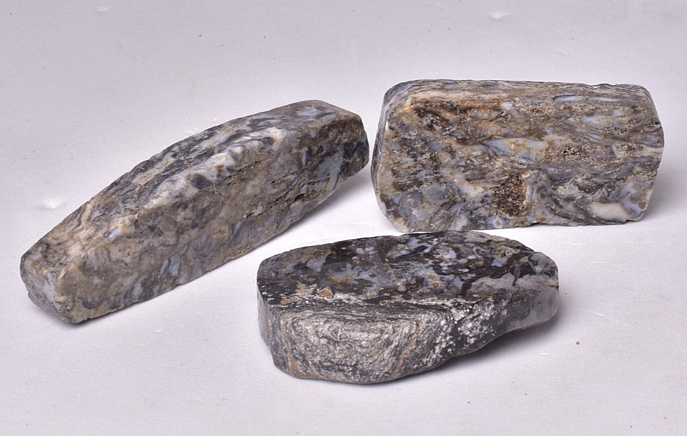 3 x RHYNIE CHERT, EARLY DEVONIAN, PLANT FOSSIL, SCOTLAND S1056