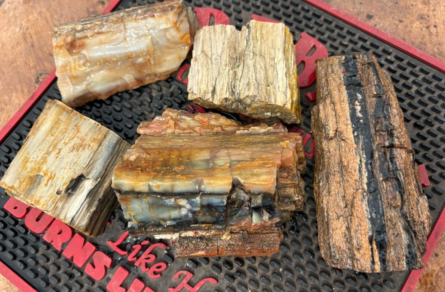 ☘️RR⛏️: 5 PCS Excellent Mixed Lot Arizona Petrified Wood, 5 Lb 🌈