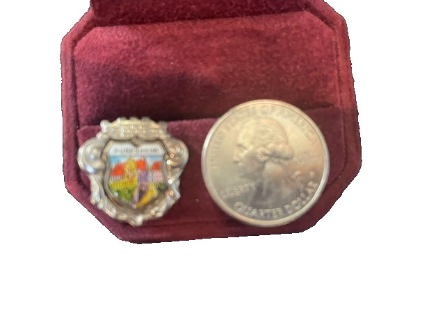 Vintage Rudesheim Germany Souvenir Pin with Crest