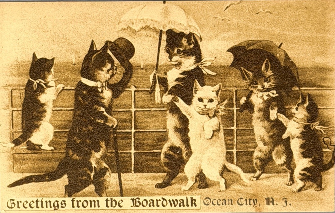 Ocean City NJ Boardwalk Cats Postcard Vintage Anthropomorphic Kitten Comic 1908