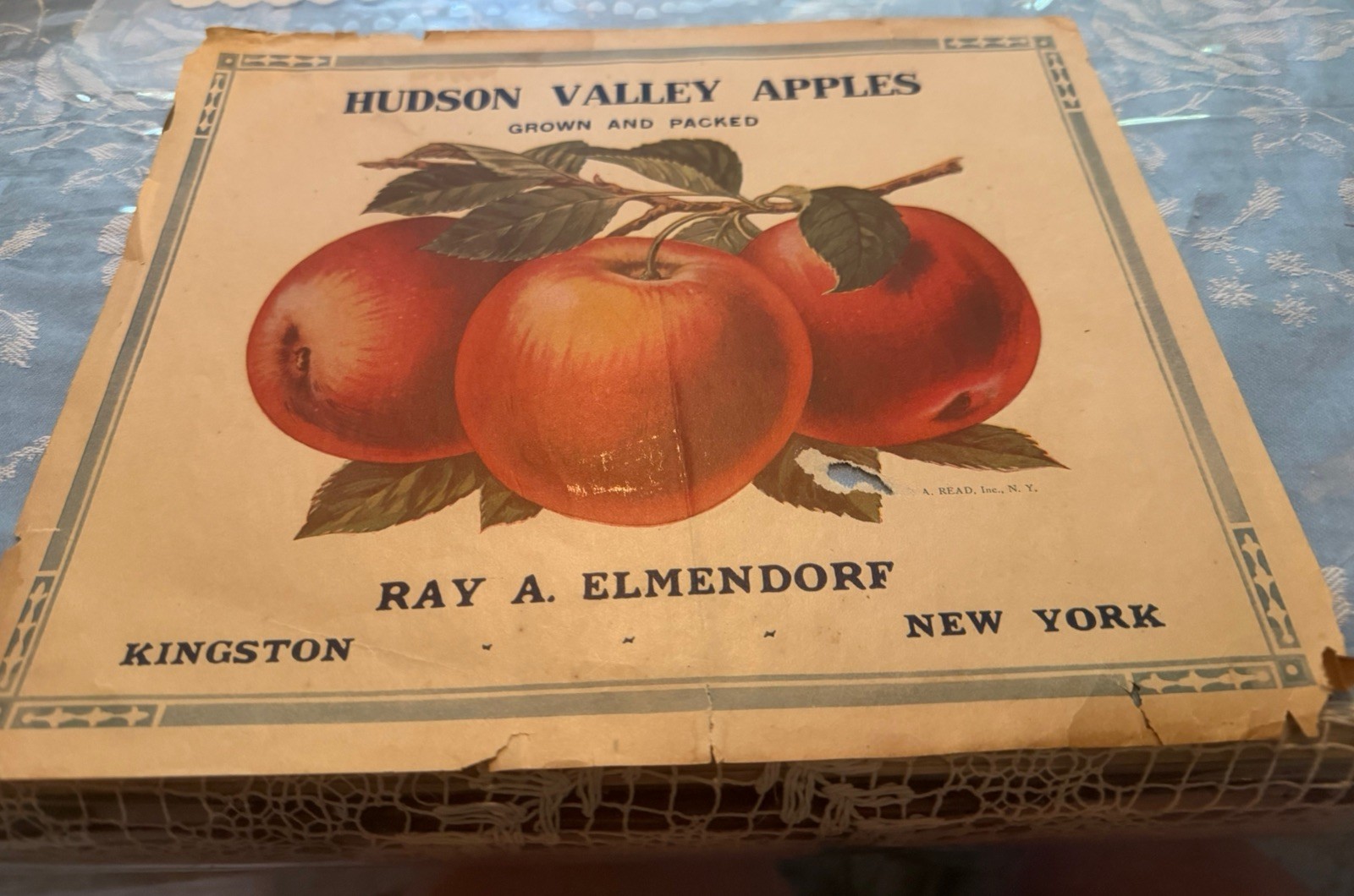 VINTAGE crate poster Kingston NY ray elmendorf Hudson valley apple fall autumn VINTAGE crate poster Kingston NY ray elmendorf Hudson valley apple fall autumn